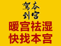 本宮駕到國(guó)藥養(yǎng)生茶