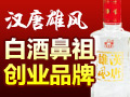劍南漢唐雄風白酒
