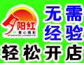 夕陽(yáng)紅攝影機(jī)