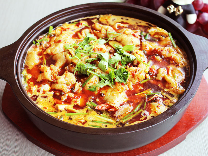 鮮饞后飽啵啵魚(yú)快餐