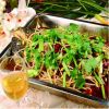俏巴妹香辣烤魚(yú)