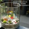 美格生態(tài)桌寵