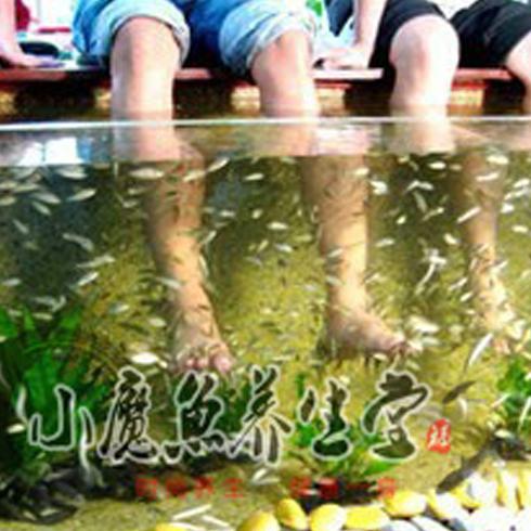 小魔魚spa養(yǎng)生會所