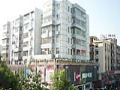致善堂品牌設(shè)計
