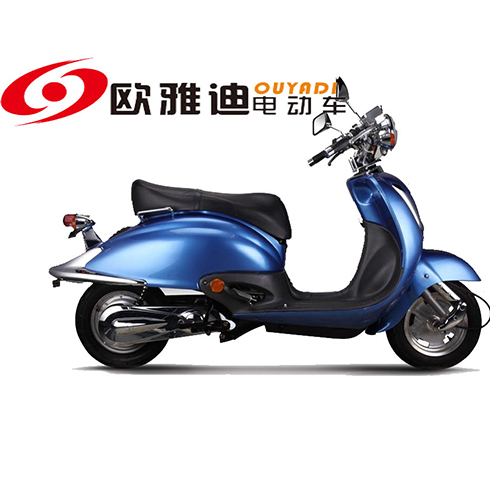  歐雅迪電動(dòng)車大龜王