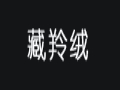藏羚絨女裝