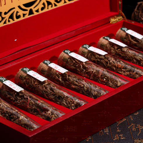 本草春尊品試管金線(xiàn)蓮