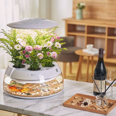宜植愛(ài)K款魚植機(jī)展示