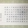 TOP狀元全語(yǔ)文培訓(xùn)-兒童練字作品