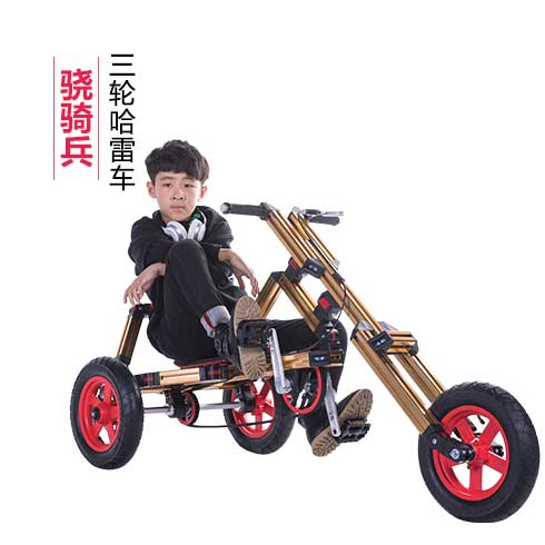 任性寶貝百變童車(chē)-三輪哈雷車(chē)