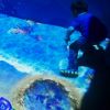 V童科學(xué)親子館-AR海底撈魚(yú)