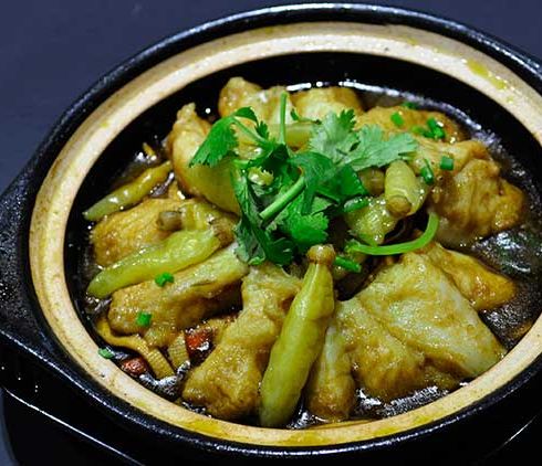 巧仙婆-青椒魚(yú)